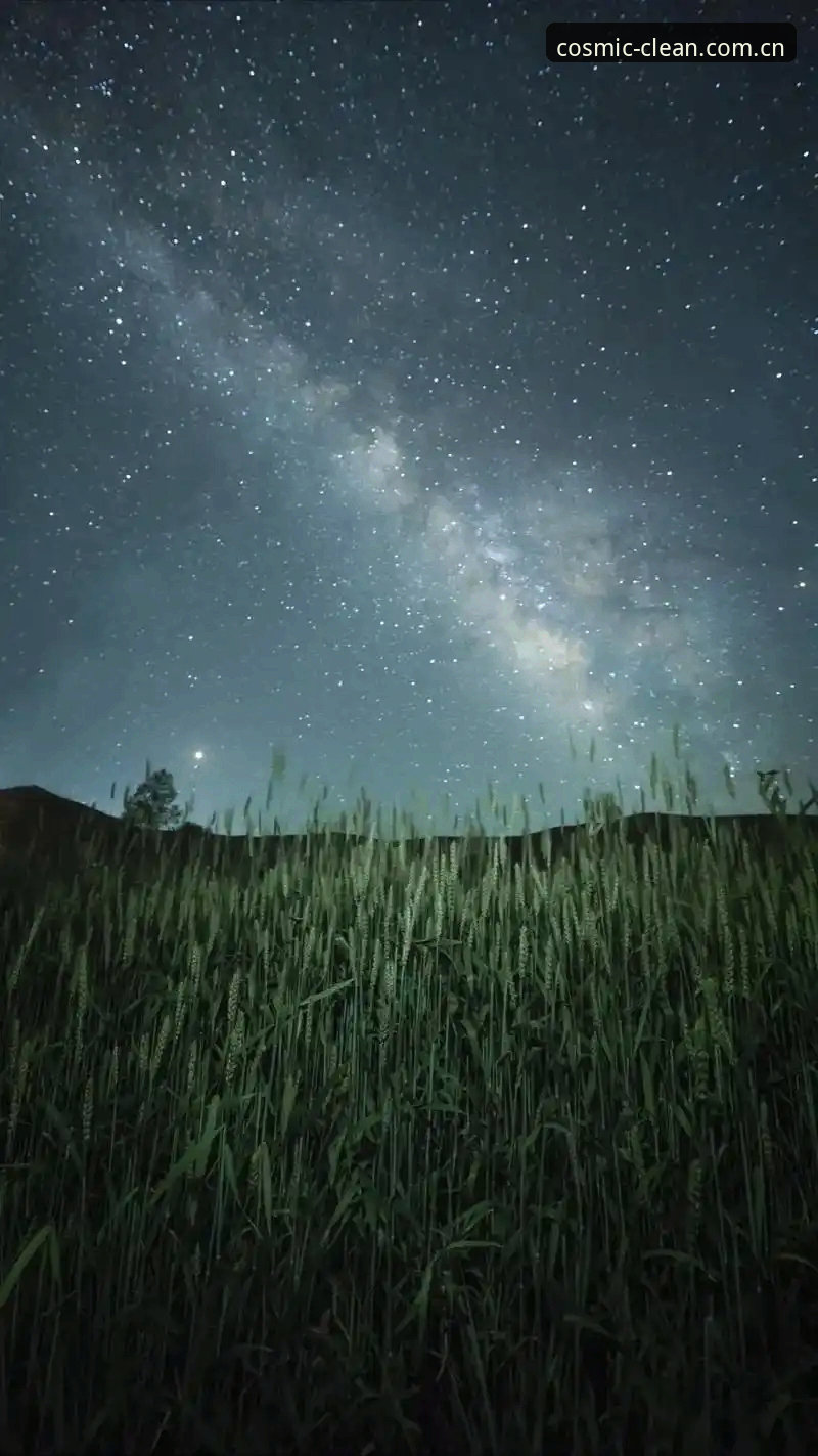 星空中国年度版苹果下载 揭秘星空中国年度版苹果下载背后的真实体验:一个老玩家的踩坑与心得